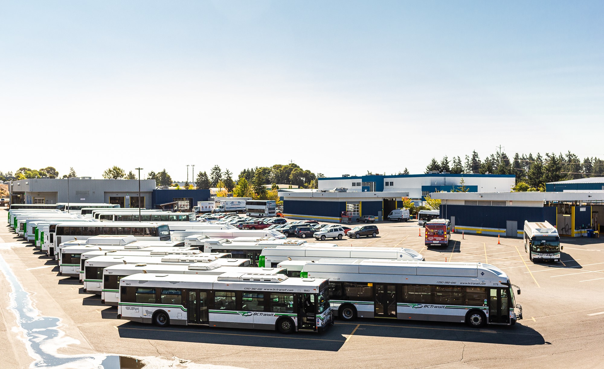 BC Transit buses in the bus yard