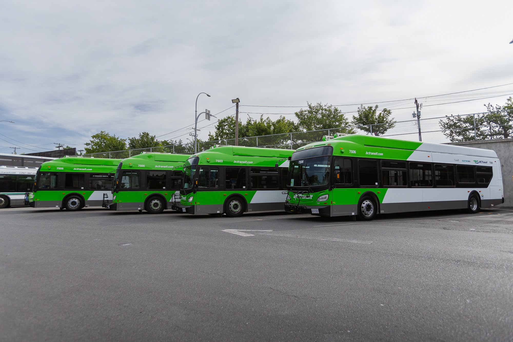 Four battery electric buses parked next to each other, viewed from the side.