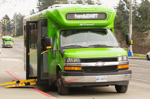Light Duty Bus
