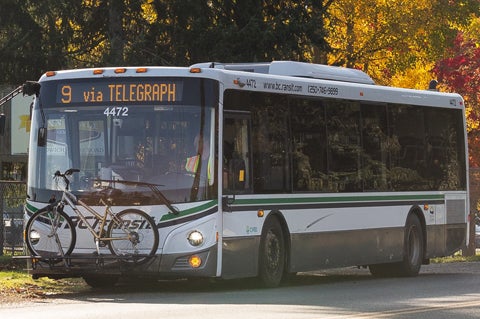 Medium Duty Bus